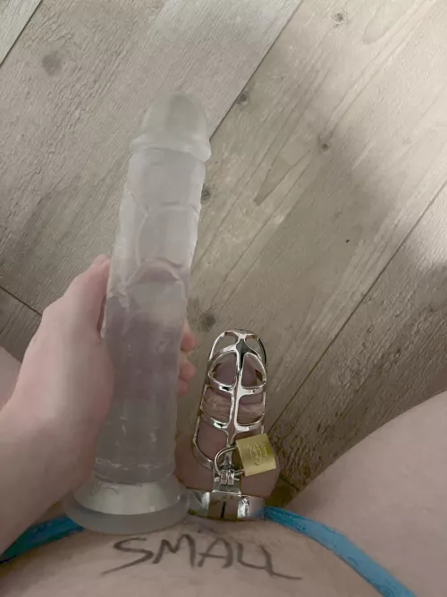 My domme told me I am only allowed to jerk of with the dildo…