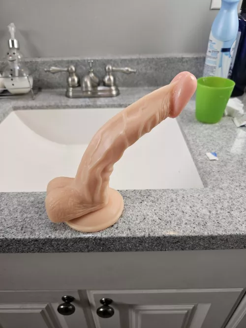 My new dildo