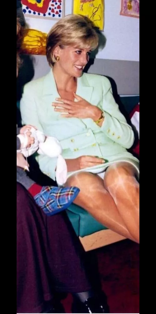 Princess Diana, 1993