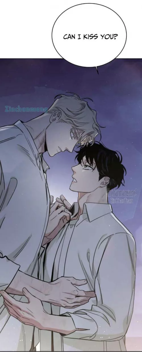 Roses & Champagne 🌹