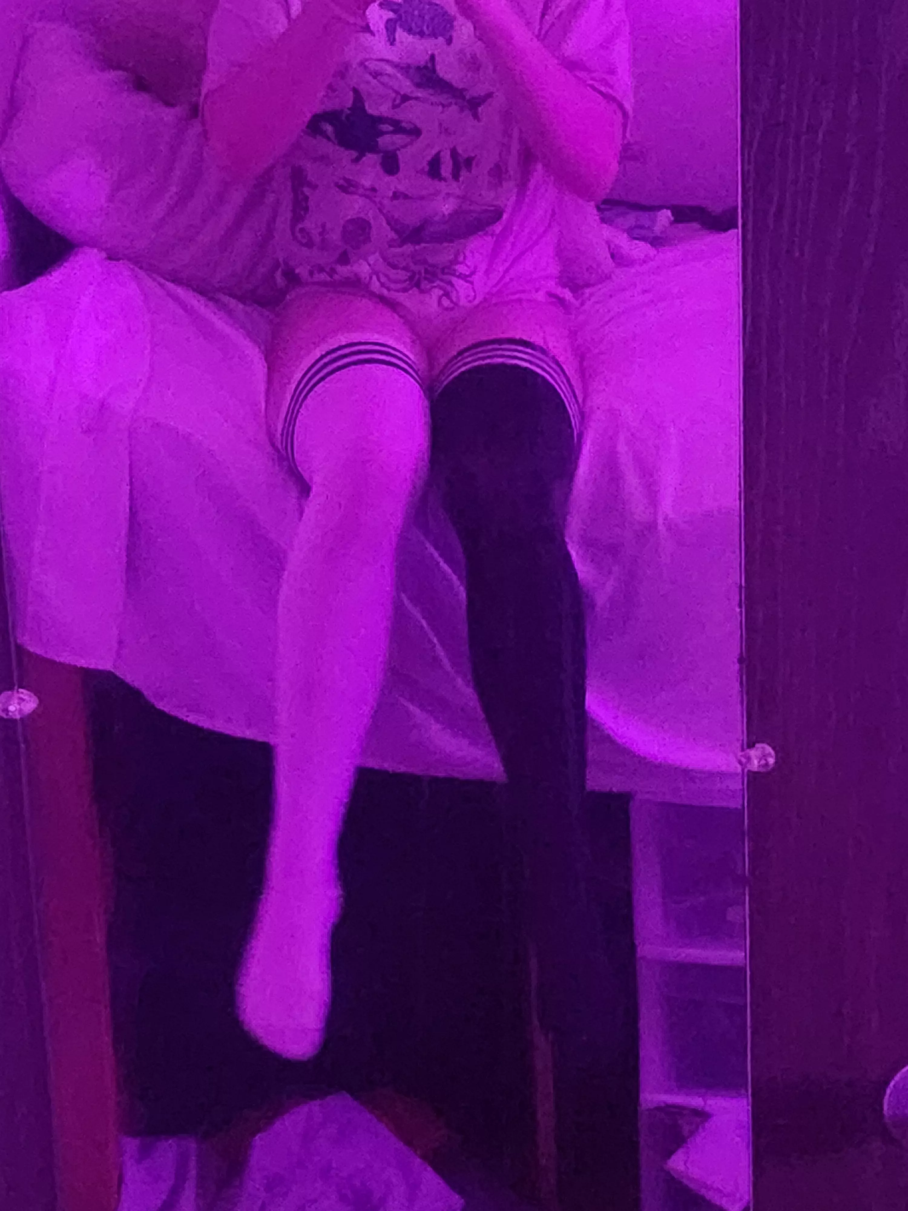 What's your favorite sea animal?