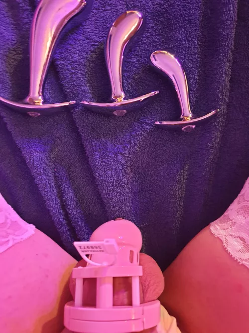 Which of these plugs goes with the cage?