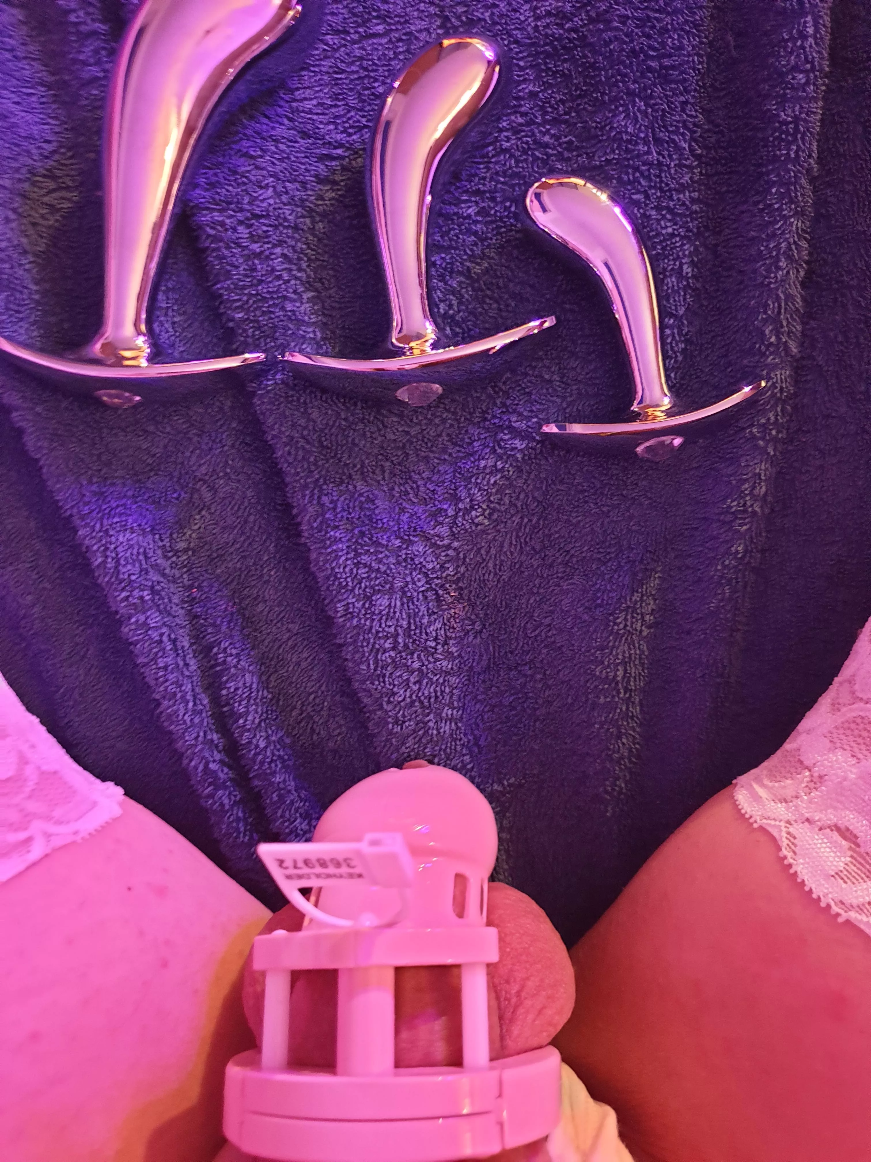 Which of these plugs goes with the cage?