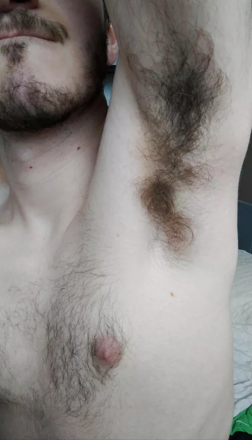 You wouldn't be able to get your face out of my pits