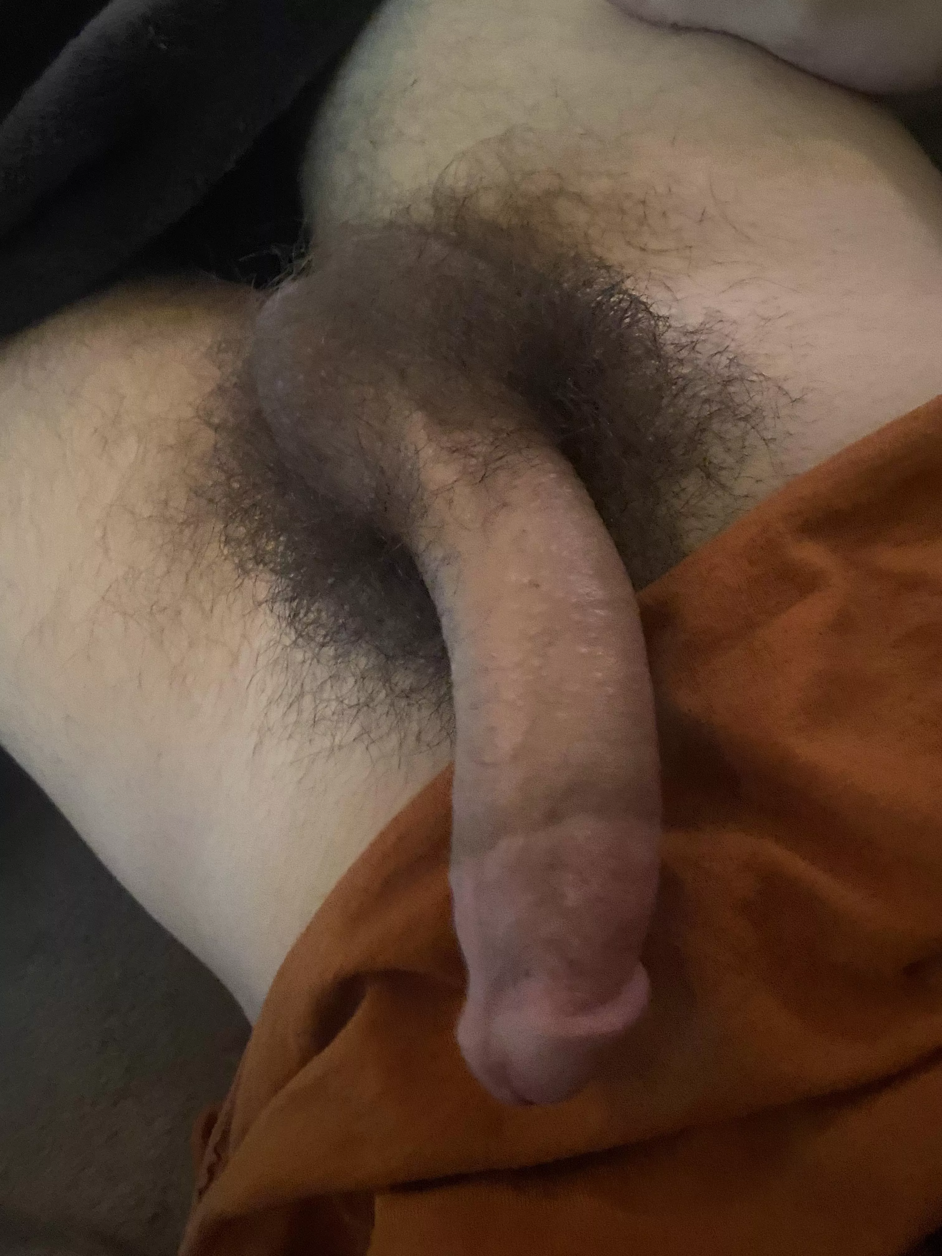 18 snap samissadhaha verbal++ hairy++ bottom++