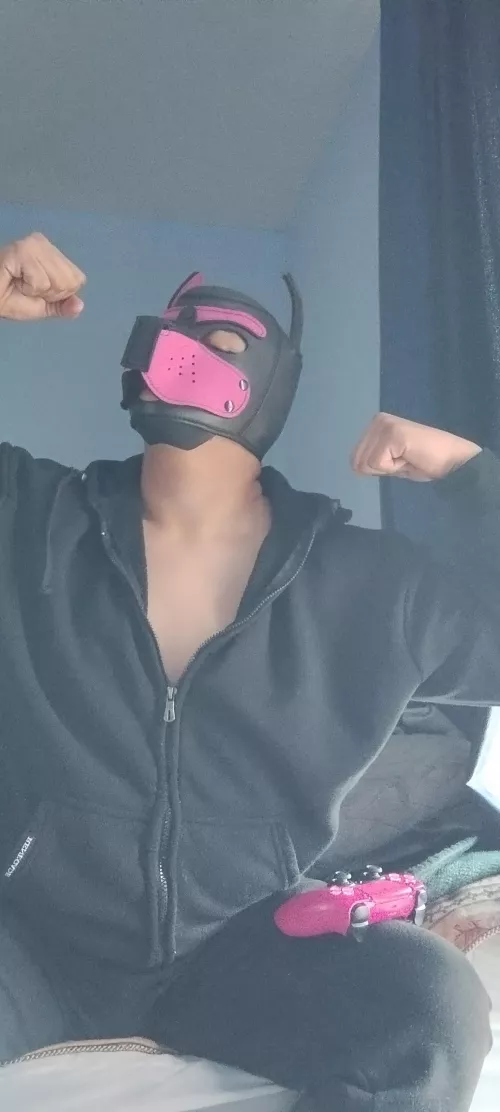 Arrrrrrrr, I feel like a badass when I win arroooooooooo! 🐶🐶🐶🐶🐶🐾🐾🐾🐾🐾🐾🎉