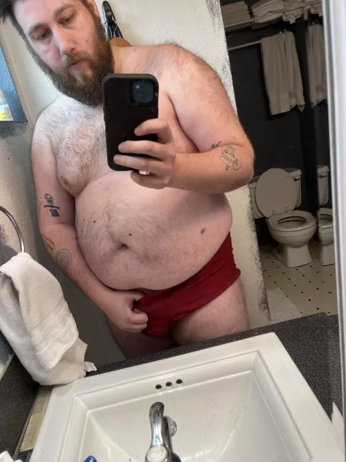 Bears beards and briefs 