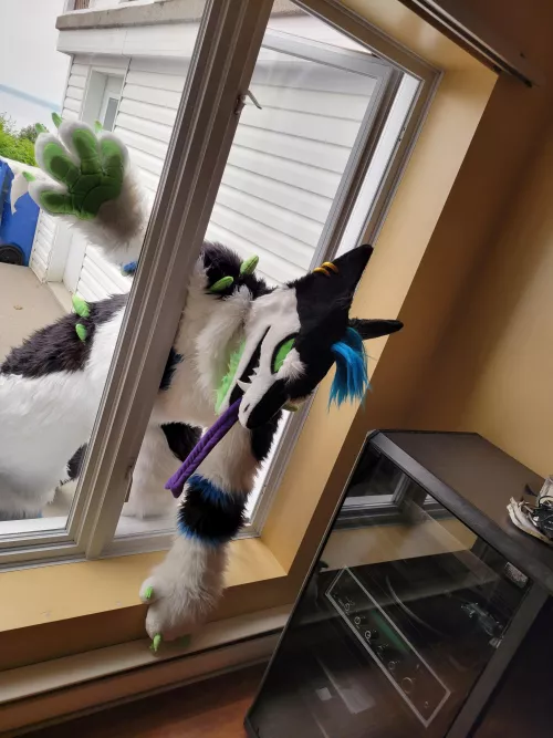 Don't mind me, just breaking in...