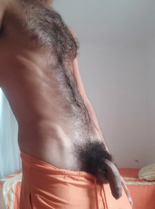 Guess who's out for play [34]