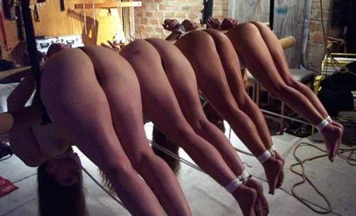  in debt, pay their debts, have your fun through ownership