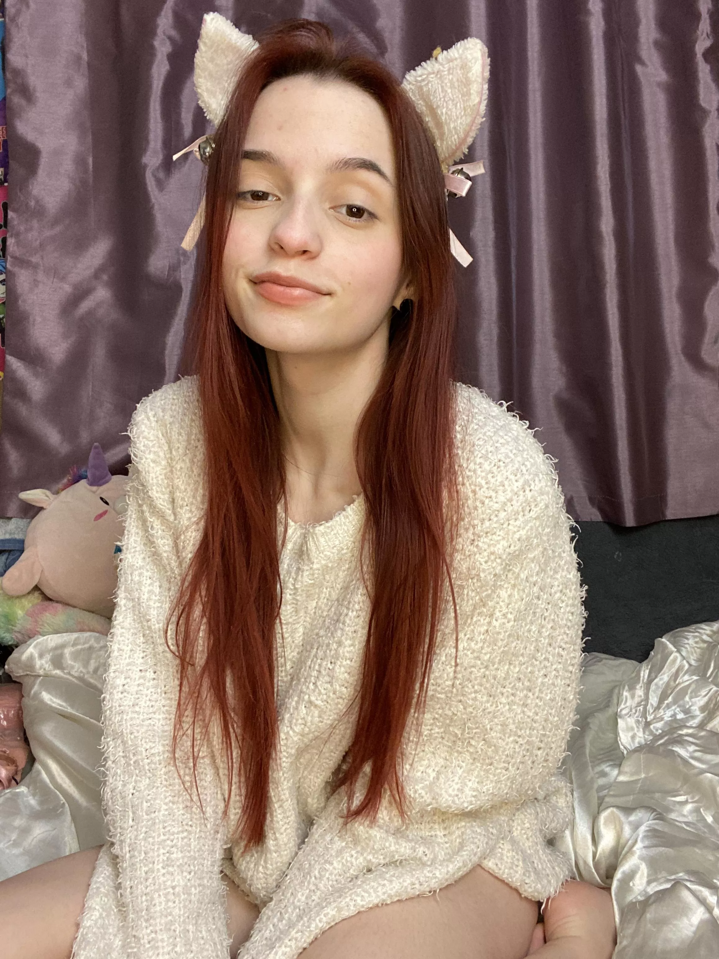 Meow meow meow. I'll meow to you morning, lunch and night