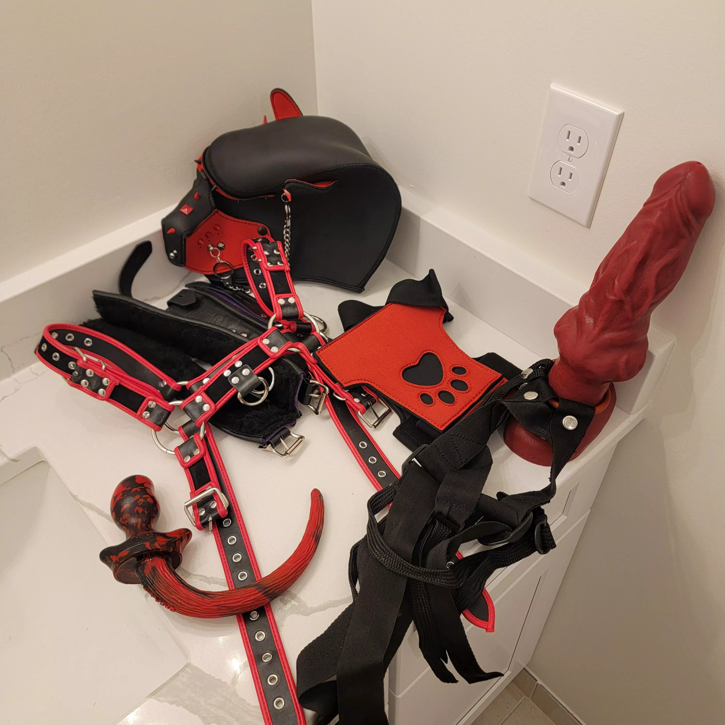 New pup gear finally here