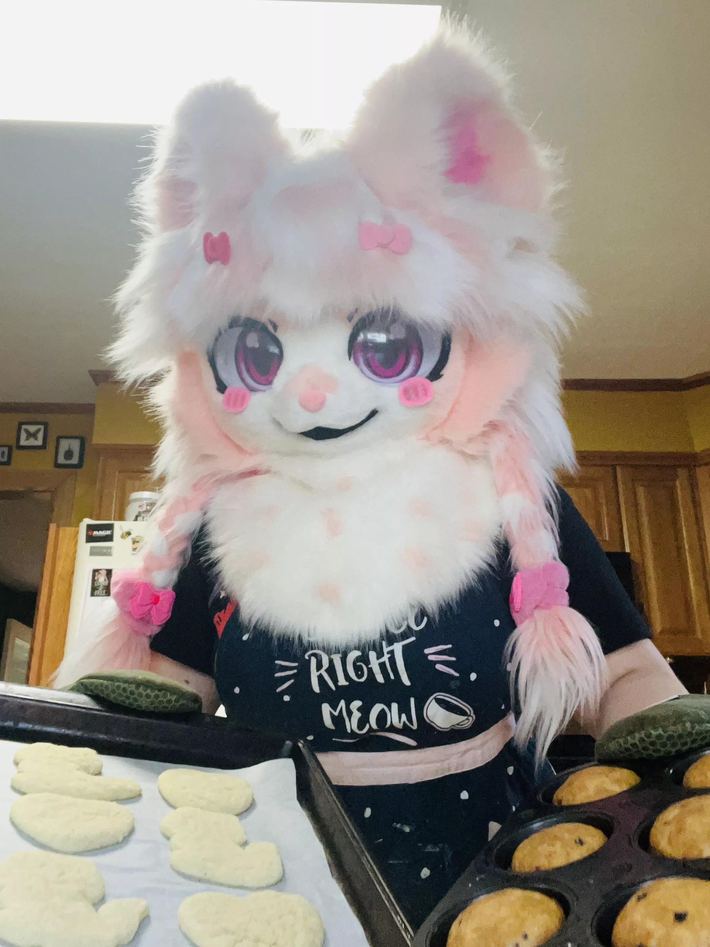 Pearl offers you freshly baked cookies and muffins, take one?(Picture by me)