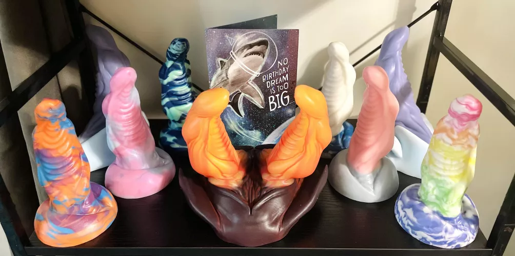 Shark Shelf