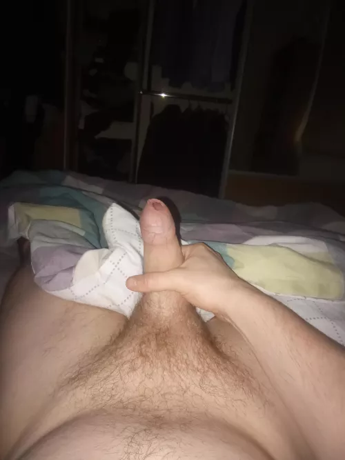 Should I grow my ginger bush?