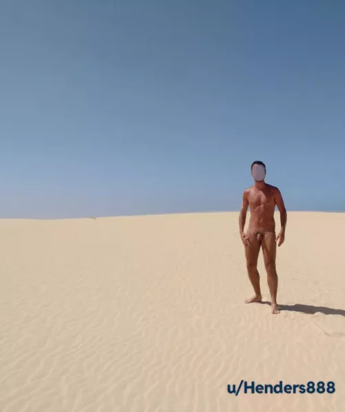 Wandering free around the dunes 🌵