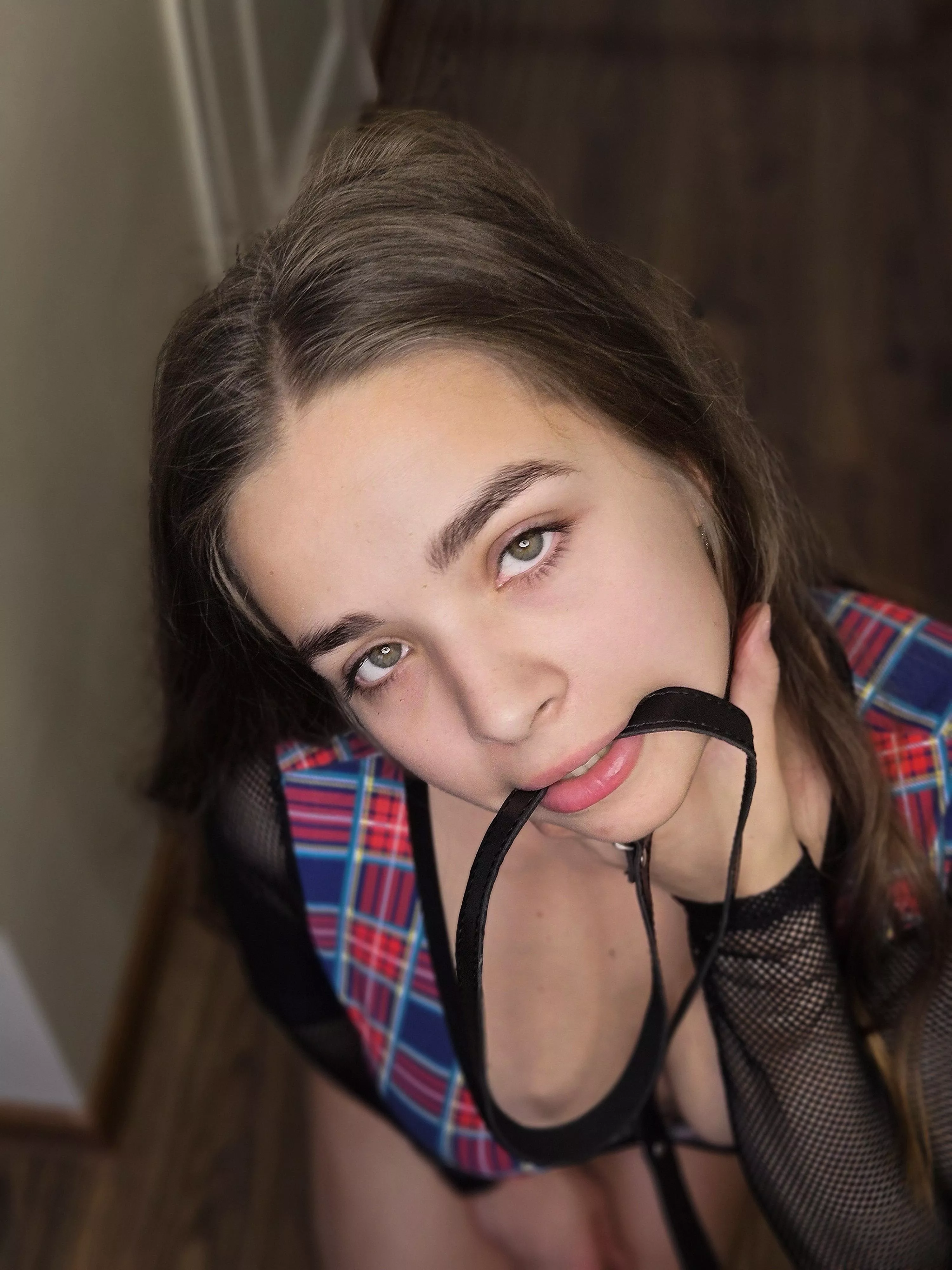 will your friends be interested in playing with me when I'm wearing this leash?