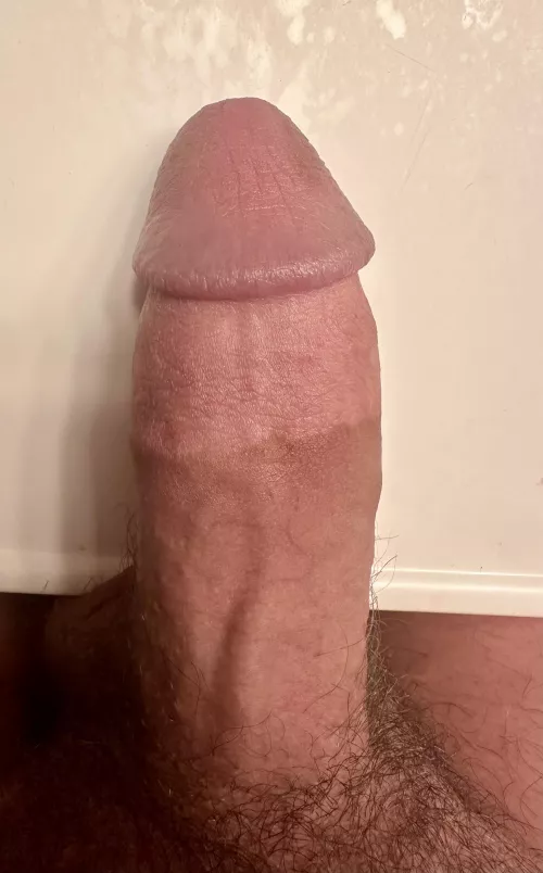Does my highschool dick make you hard? (18)