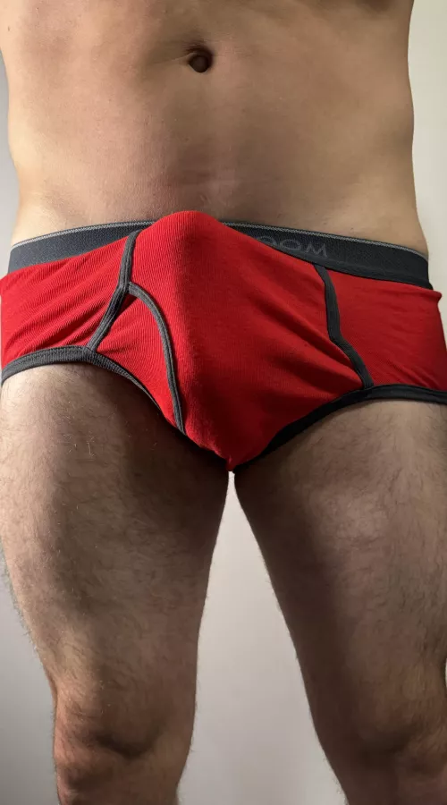 First pair of briefs in a while