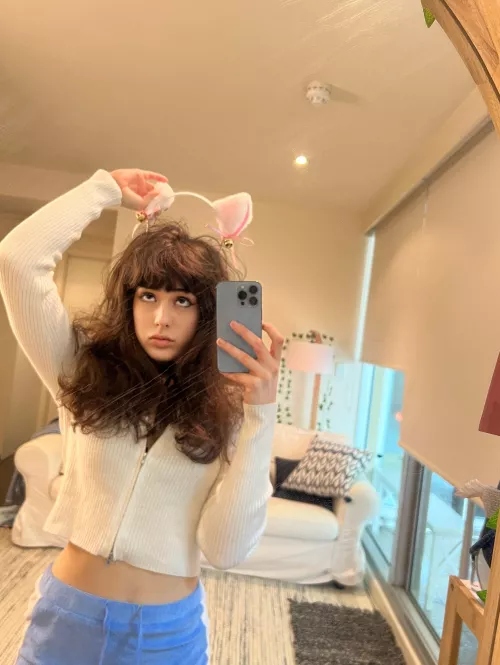 followw @smol_rug :)