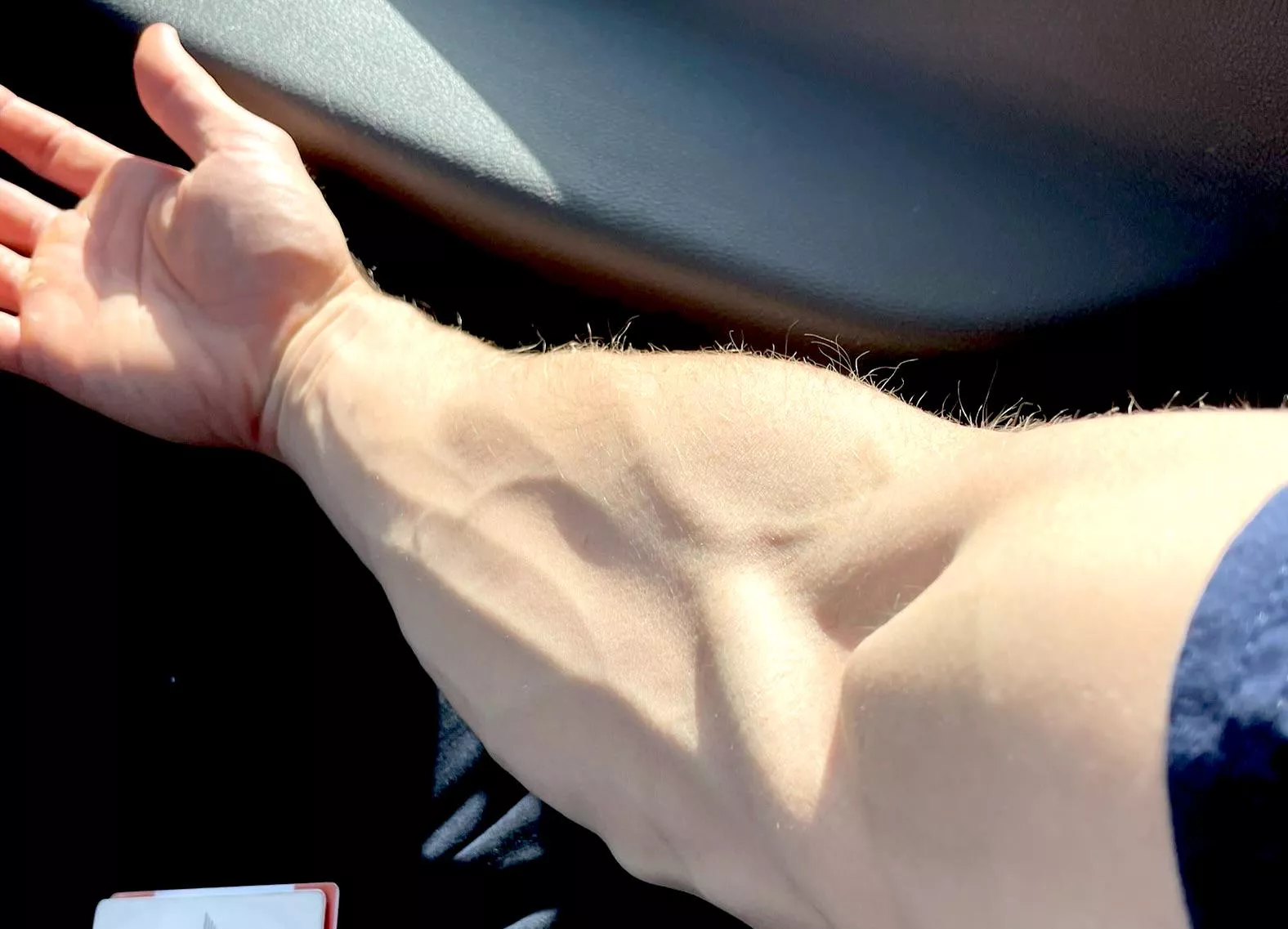 Let’s get some sun together