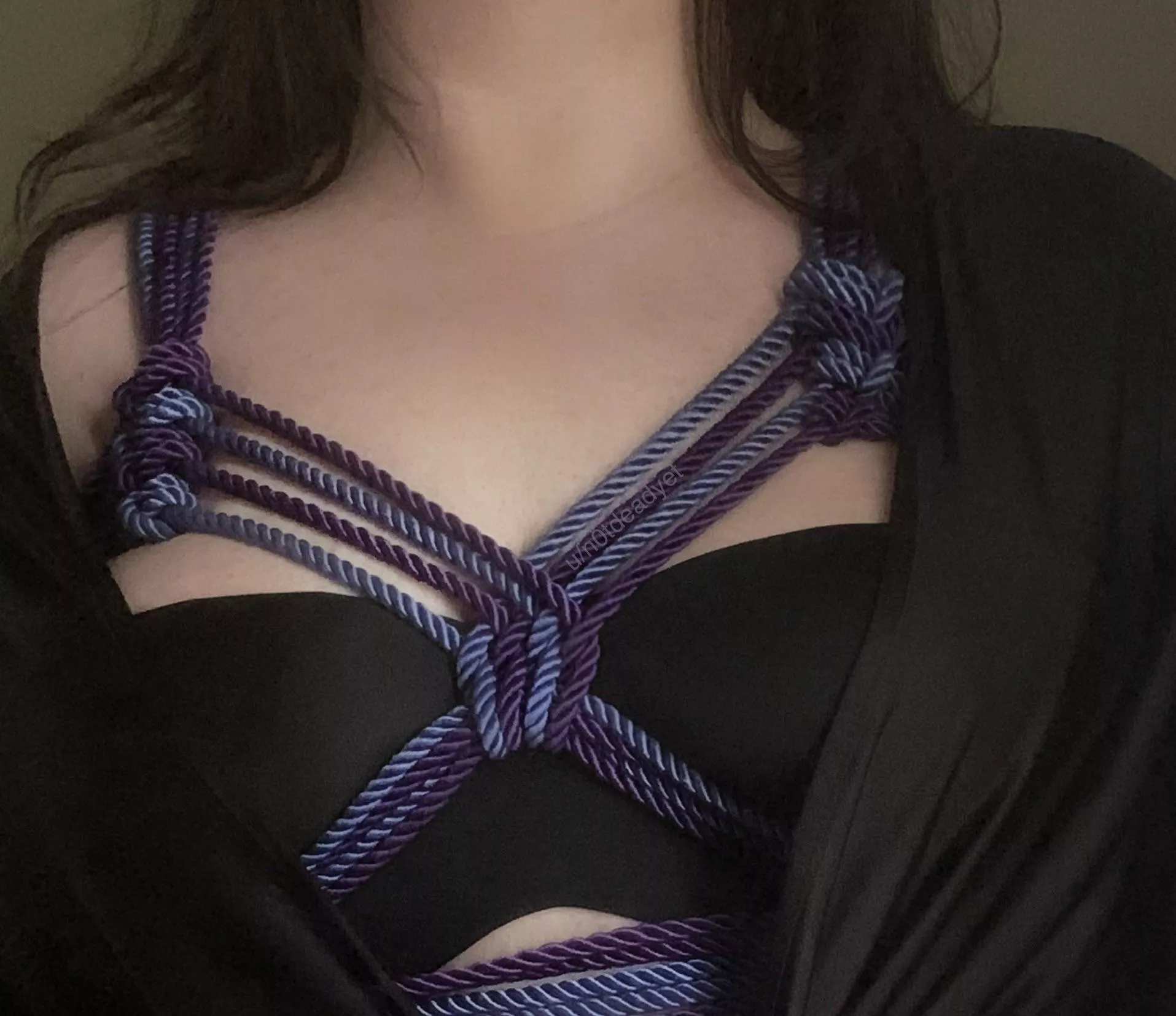 Simple harness but pretty color combination!