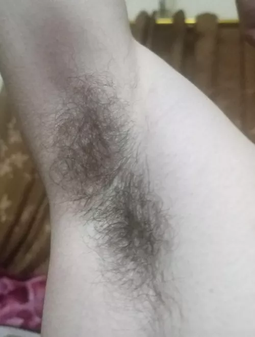 sniff my hairy pits 