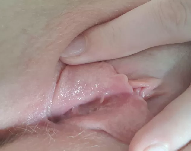 So this is what your all wanting to lick - this is under my big fat pussy lips 😝