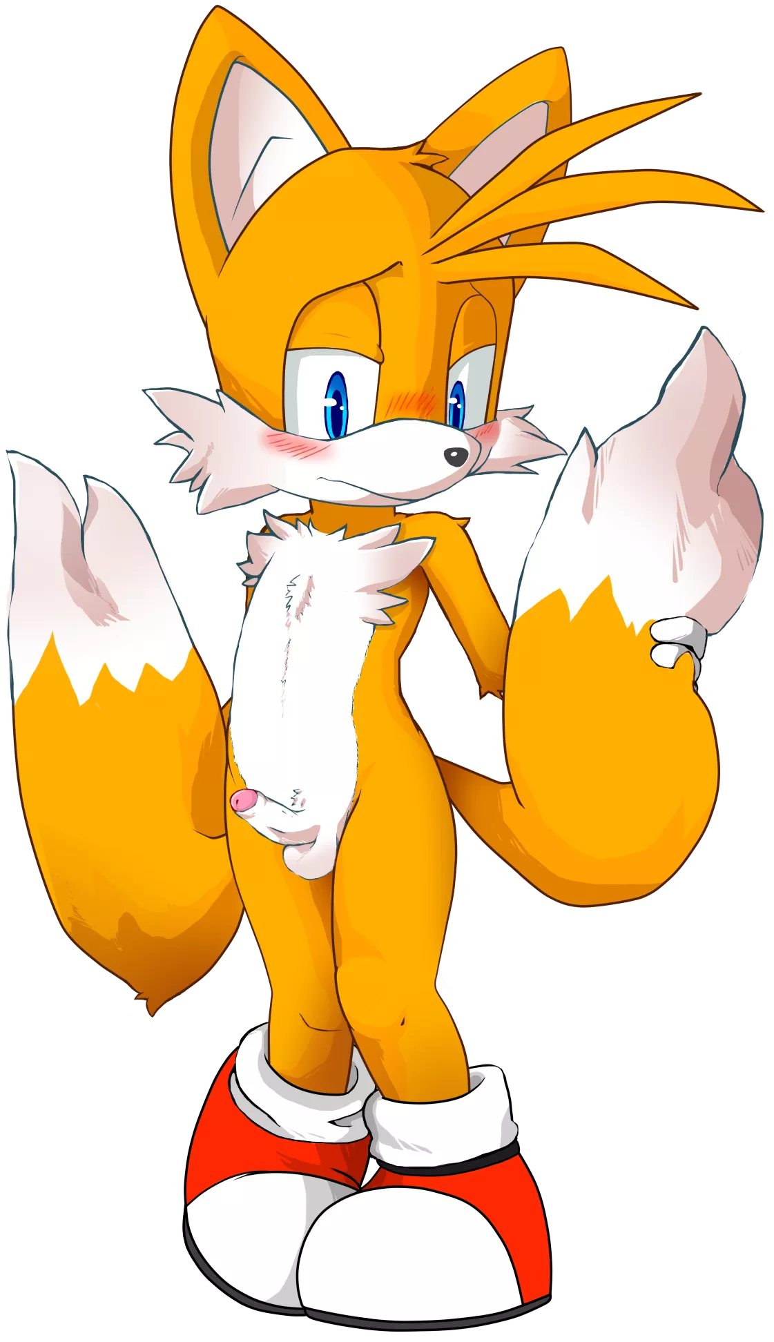 Tails hanging out with his Cock (Art by jenokamui)