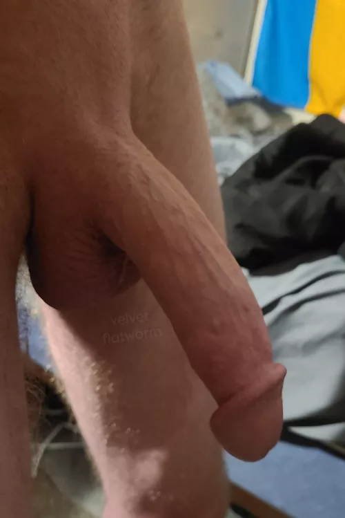 What's your favorite thing about my dick?