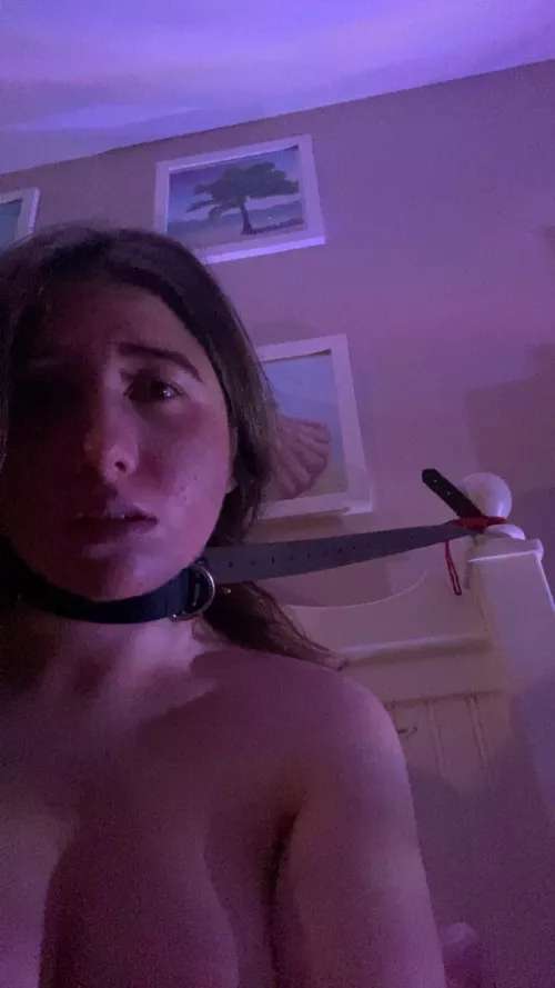 Am I the prettiest purple yet?