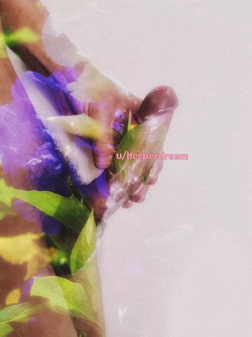 Dick and flowers 🌸✨