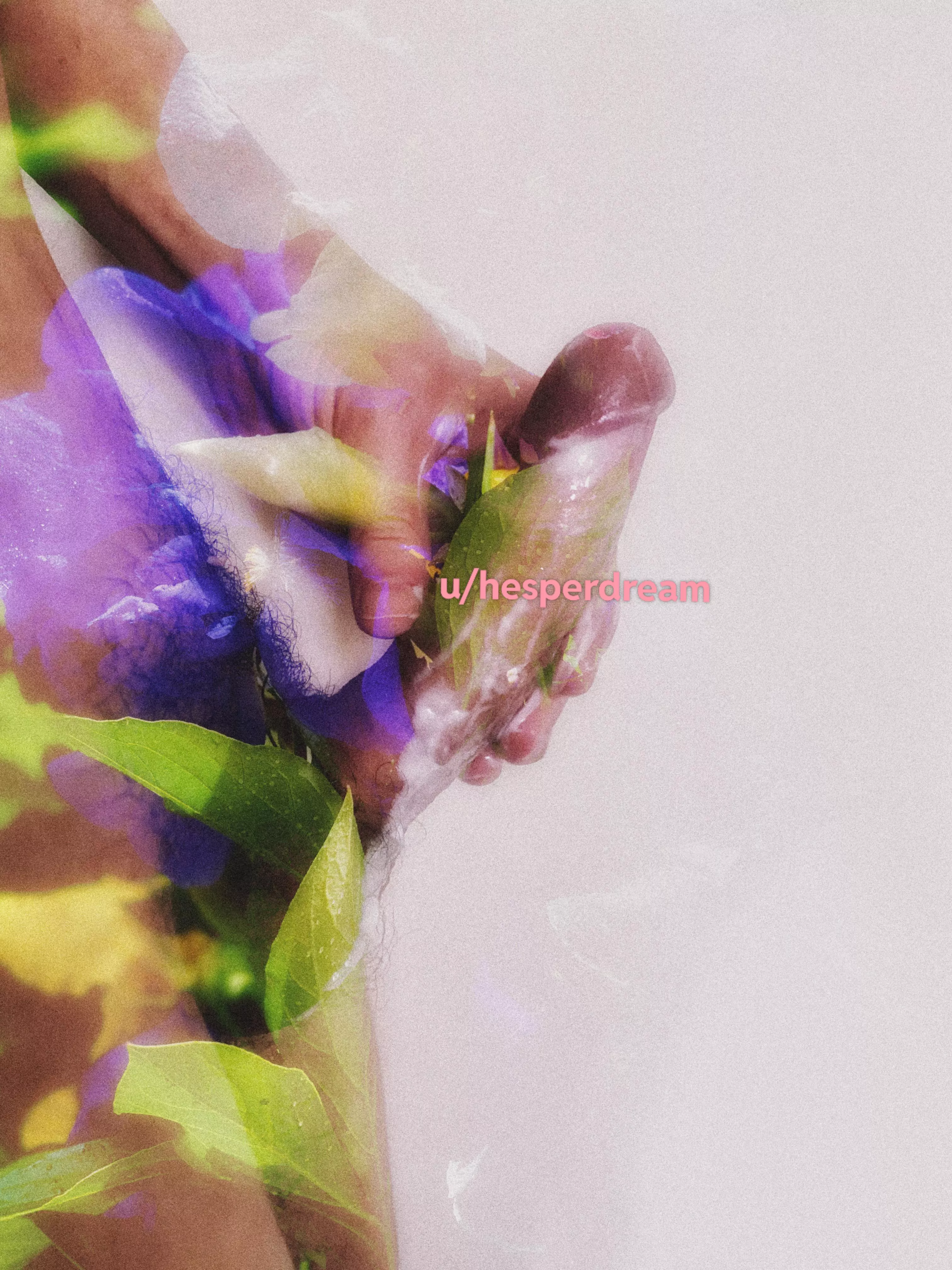 Dick and flowers 🌸✨