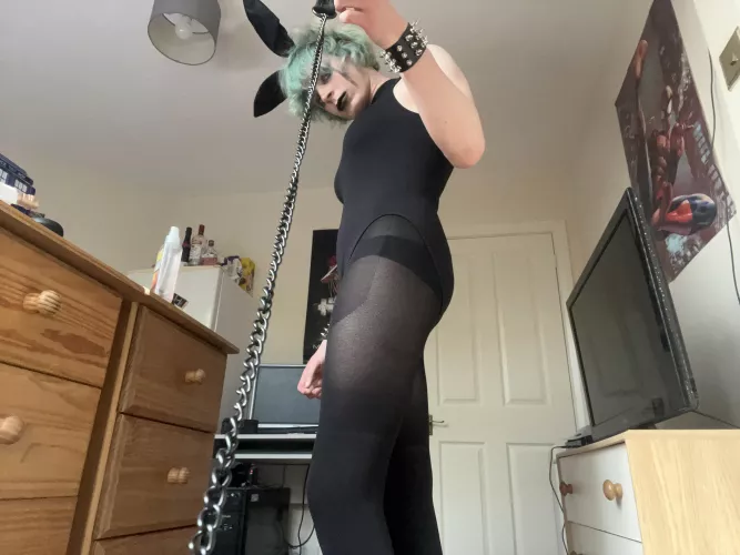 Do you like goth bunny’s here too? 🖤💜