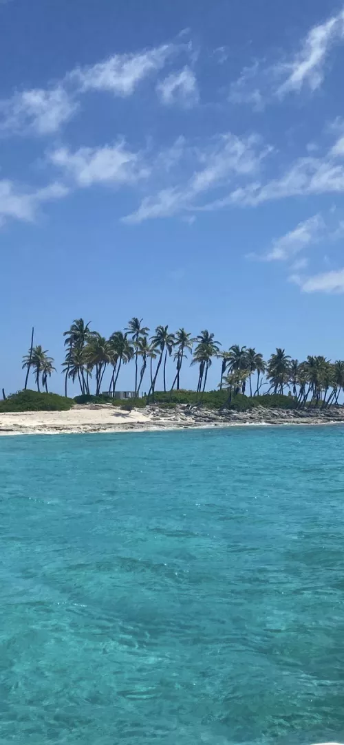 Gilligans Island, Bahamas 🤙🏻