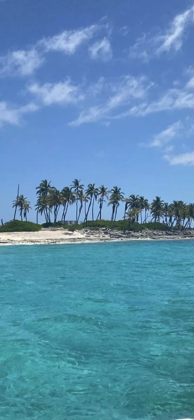 Gilligans Island, Bahamas 🤙🏻