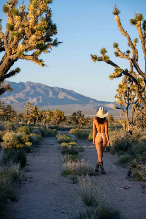 Lots of pokey things out in the desert 