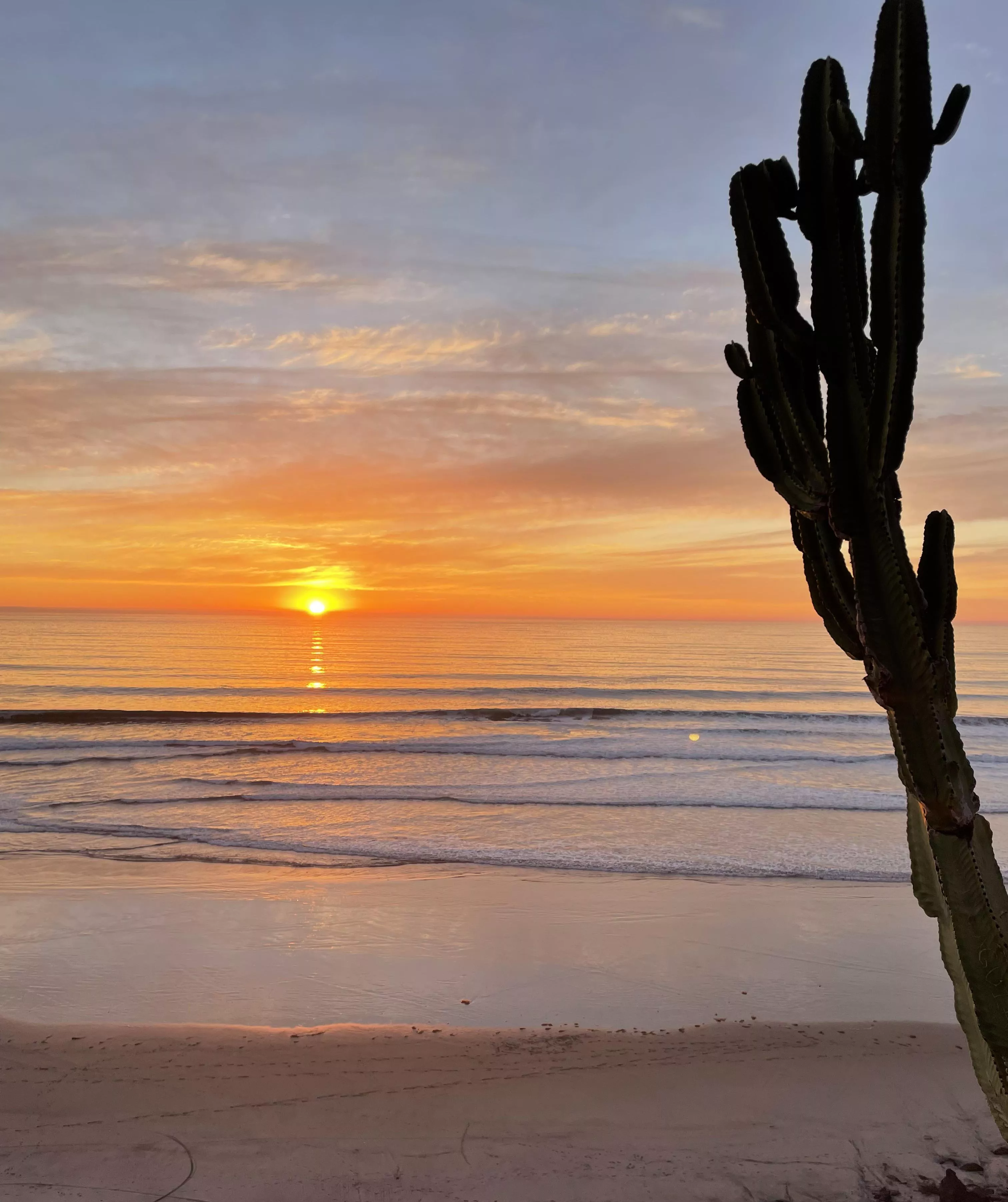 The most spectacular sunset I have ever seen in Ensenada, Baja California 🧡