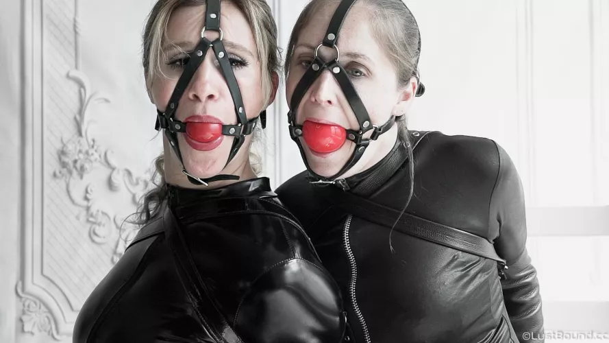 Harness gags, my favorites