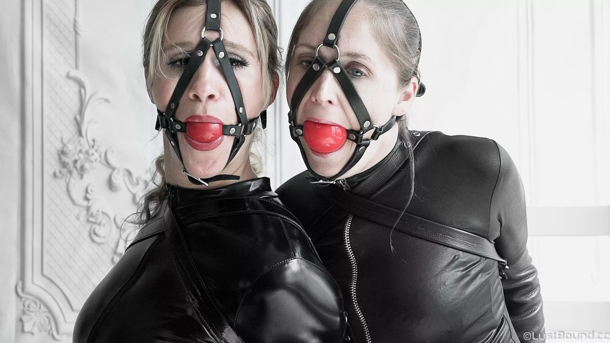 Harness gags, my favorites