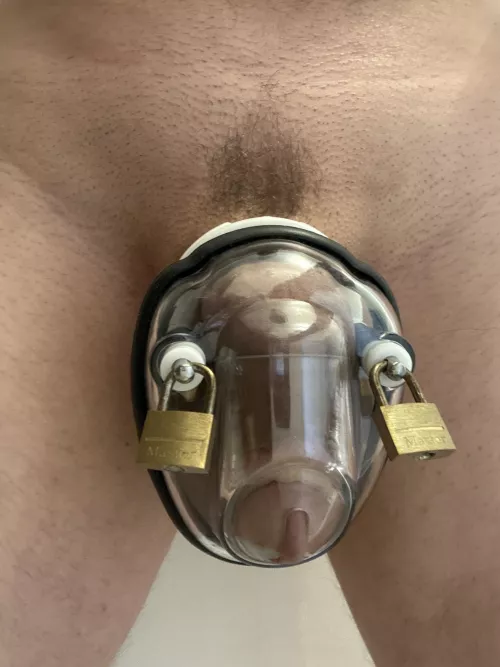 Old school cage today