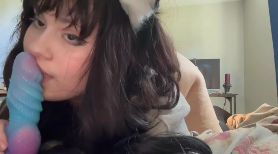 Want this puppy at your feet? 😋🐾