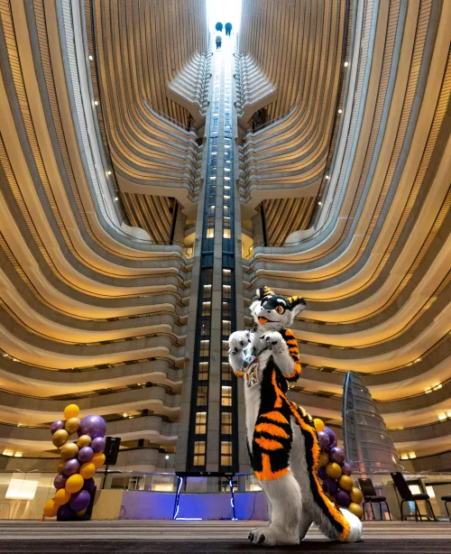Con hotels go crazy! #FWA2024