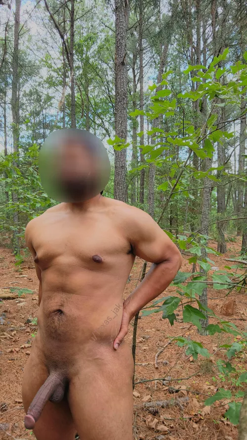 Going for a walk in the woods