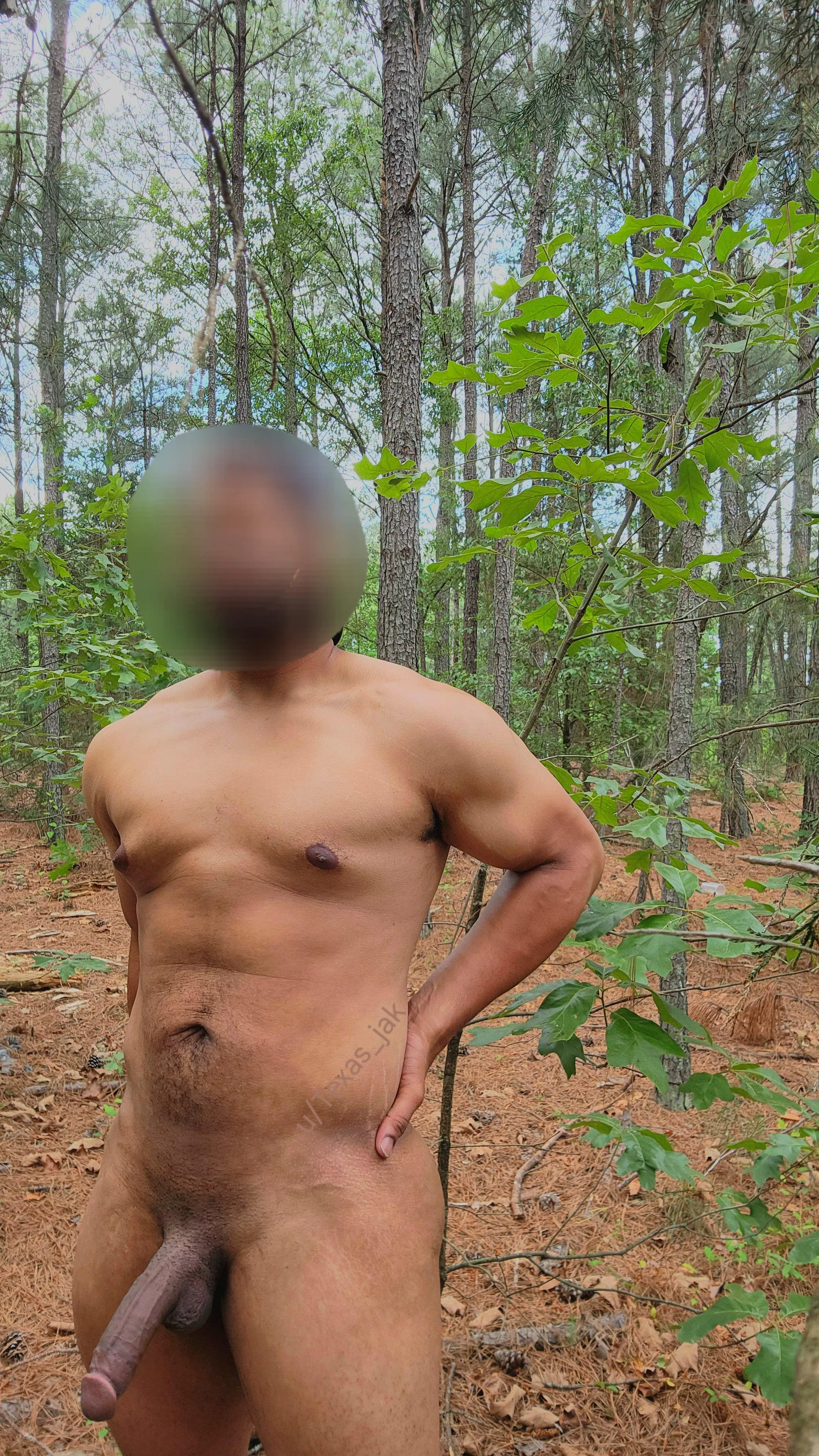 Going for a walk in the woods