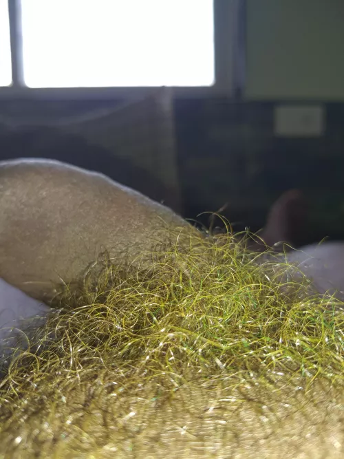 Green on my wizard💚