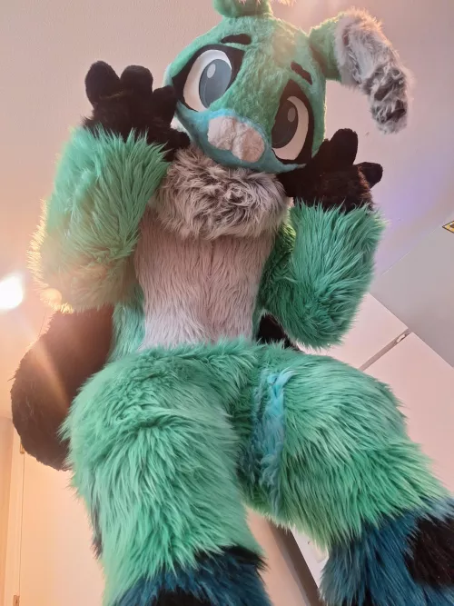 Local mothman looking for light! (Finally finished up Seri just in time for anthrohio!) ;3