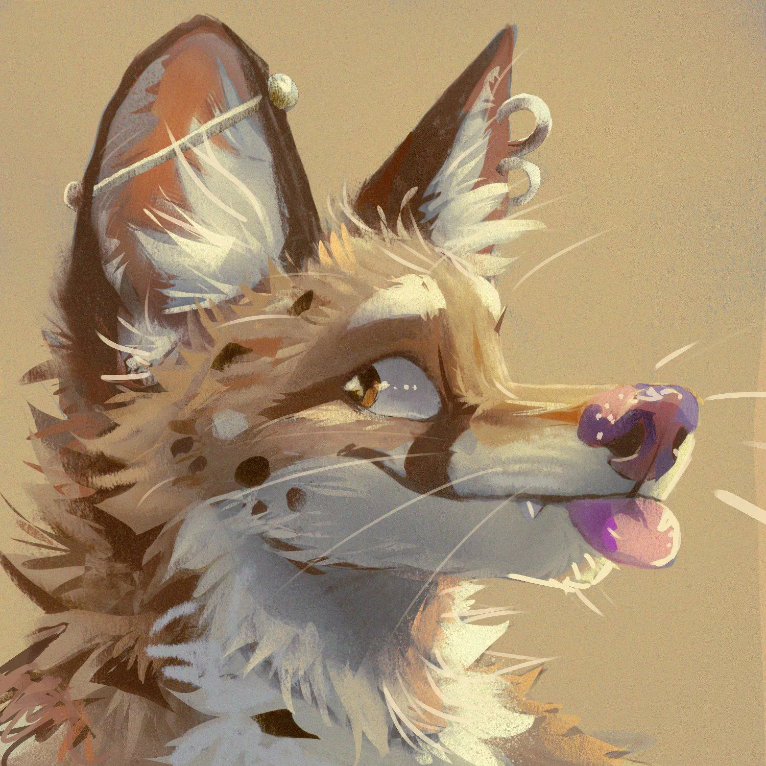 Meow Mix [_latrans]