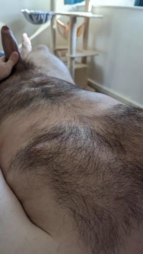 Wanna cuddle up with my fur? :)