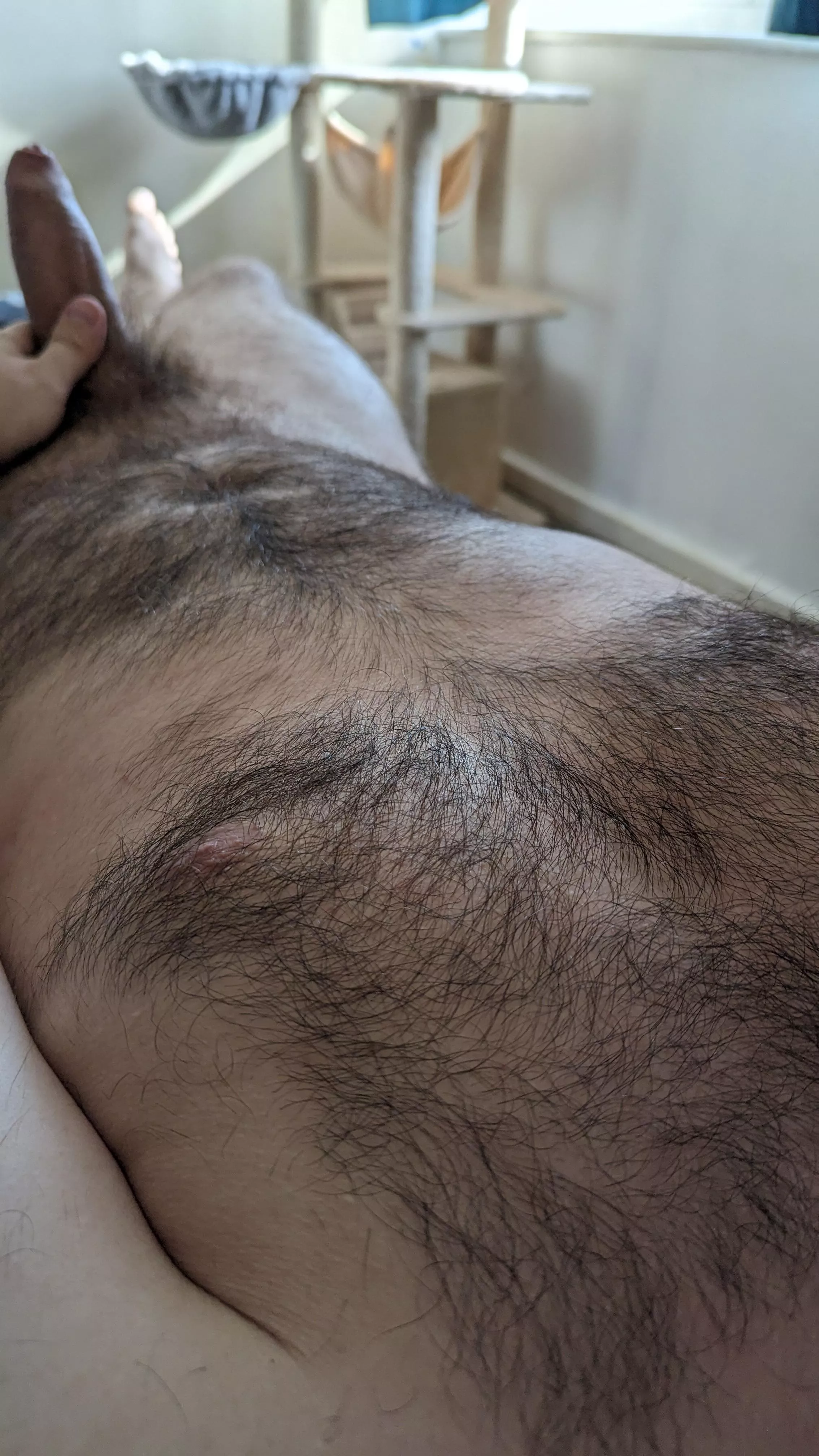 Wanna cuddle up with my fur? :)